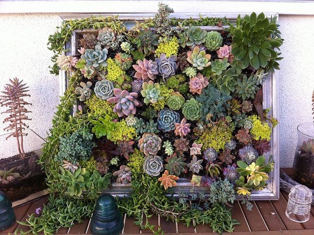 Ad creative diy vertical gardens for your home 23.jpg
