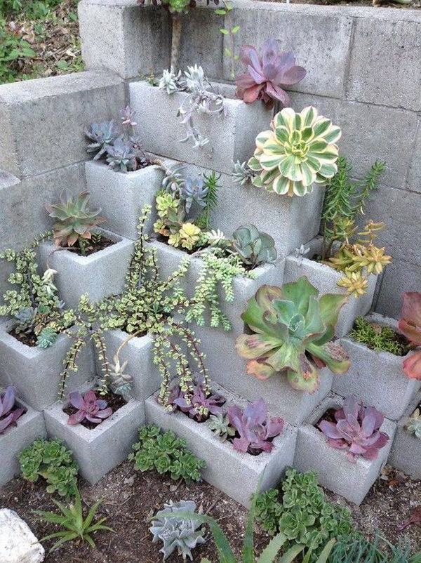 27 succulent garden ideas.jpg