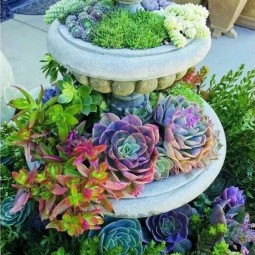 45 succulent garden ideas.jpg