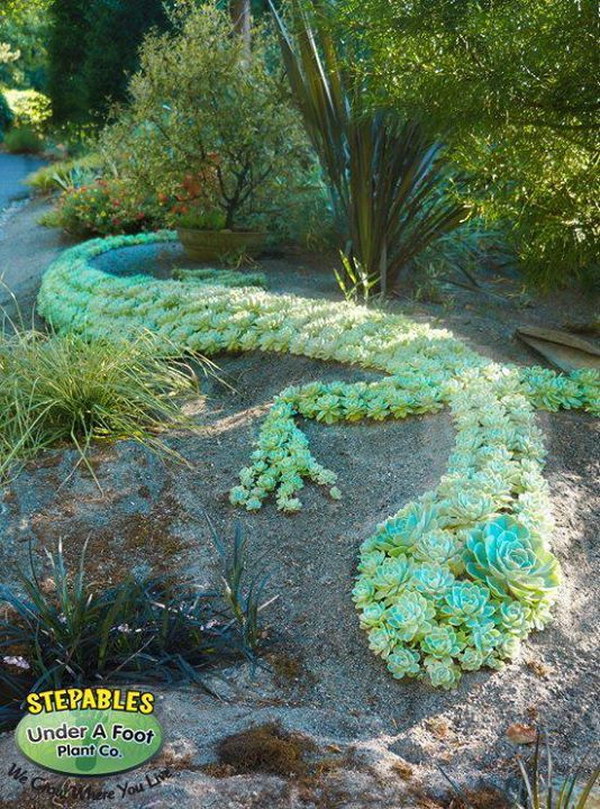 5 succulent garden ideas.jpg