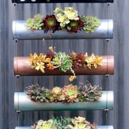 6 succulent garden ideas.jpg