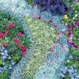 60 succulent garden ideas.jpg