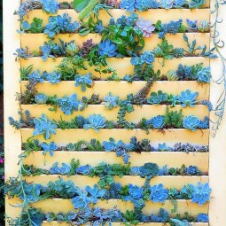 68 succulent garden ideas.jpg