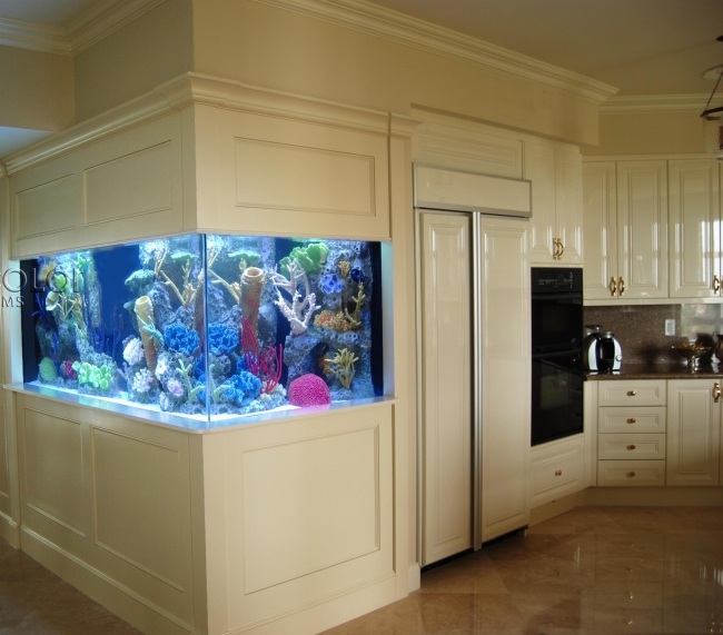 Aquarium design kueche eingebaut korallen deko ideen.jpg