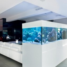 Aquarium design wohnzimmer schrank eingebaut.jpg