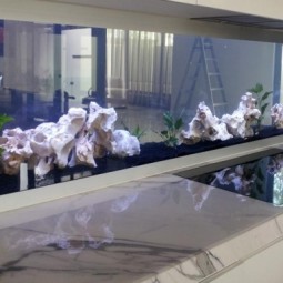 Aquarium ideen design kuechenrueckwand marmor arbeitsplatte.jpg