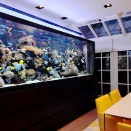 Aquarium ideen esszimmer bunte fische korallen.jpg