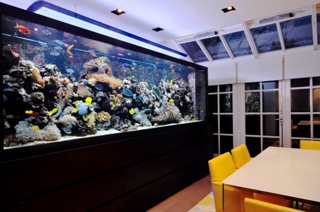 Aquarium ideen esszimmer bunte fische korallen.jpg