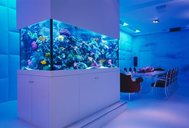 Aquarium ideen moderne einrichtung blaue led leuchten essbereich.jpg