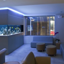 Aquarium ideen schrank raumteiler ledermoebel blaue beleuchtung.jpg