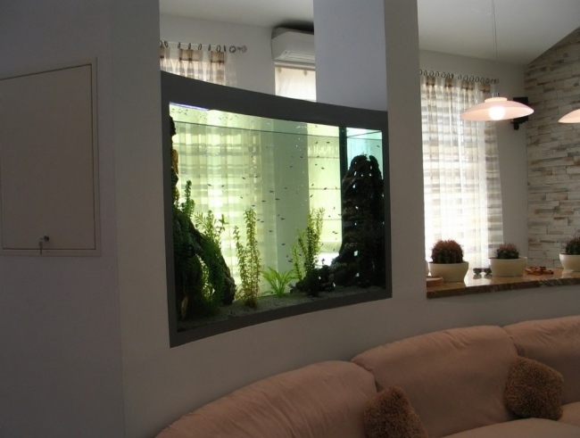 Aquarium wand integrieren raumteiler transparent.jpg