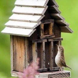 Beautiful bird house designs you will fall in love with 13.jpg