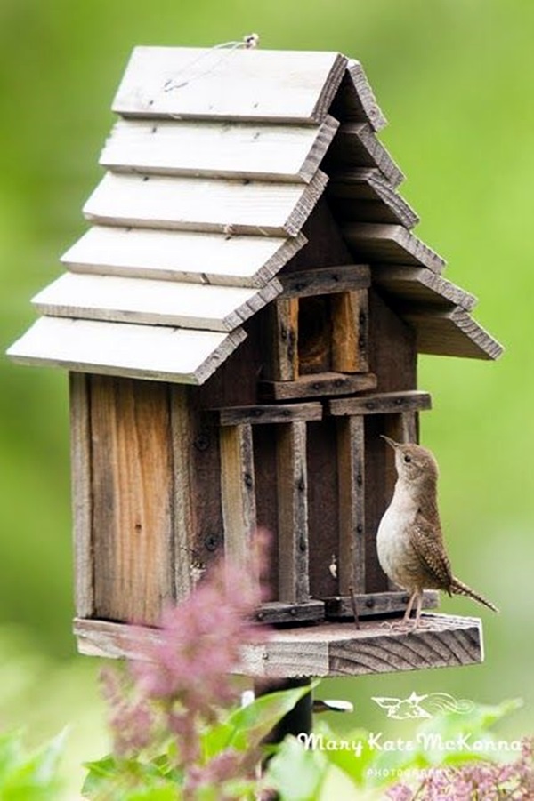 Beautiful bird house designs you will fall in love with 13.jpg