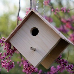 Beautiful bird house designs you will fall in love with 20.jpg