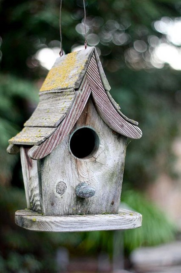 Beautiful bird house designs you will fall in love with 3.jpg