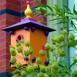 Beautiful bird house designs you will fall in love with 9.jpg
