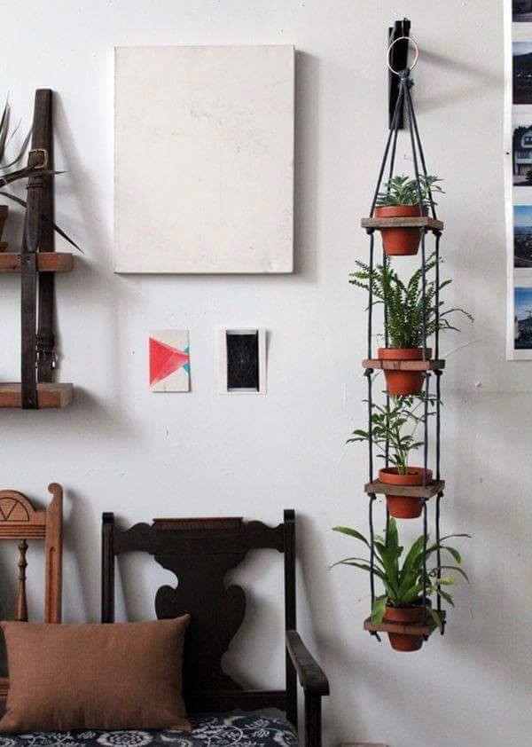 Creative hanging plants.jpg