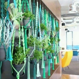 Decor with hanging plants.jpg
