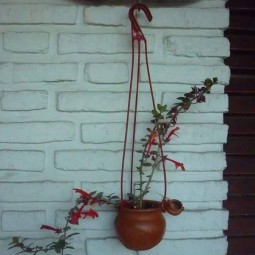 Hanging plant art.jpg