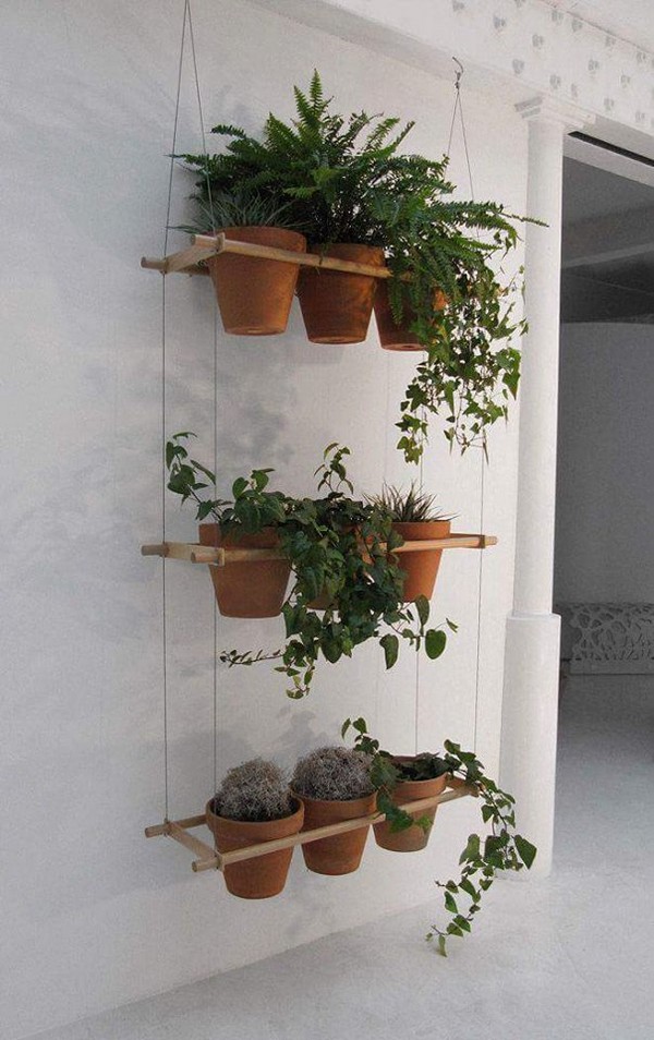 Hanging plants pot ideas.jpg