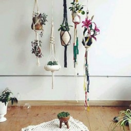 Room decor with hanging plants.jpg