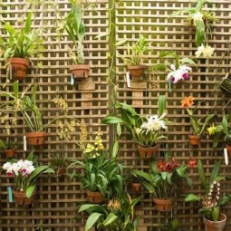 Wall decor with hanging plants.jpg
