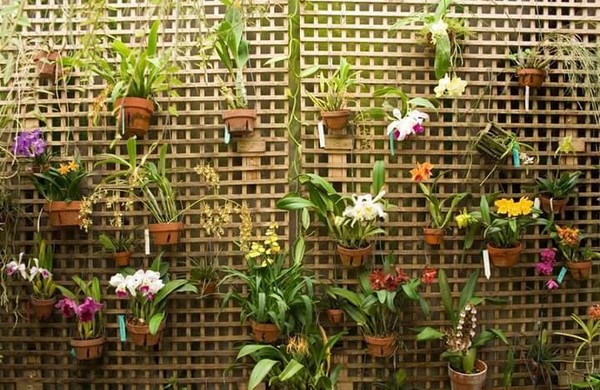 Wall decor with hanging plants.jpg