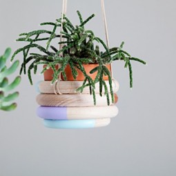Wooden ring hanging planter.jpg