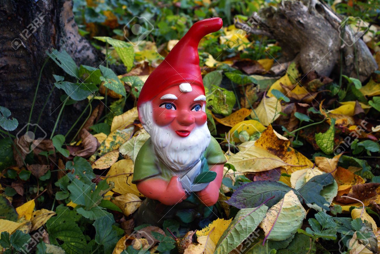 3794065 garden gnome in autumn stock photo.jpg