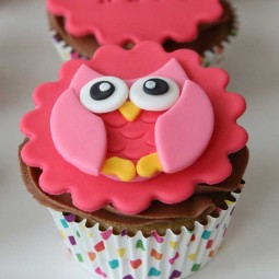 00617 01_owl cupcakes.jpg