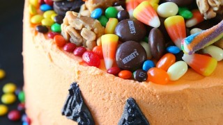 Candy coated cake.jpg