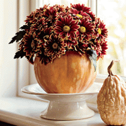 Pumpkin vase floral flower fall arrangement mums.gif