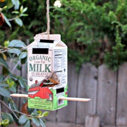 School milk carton bird feeder.jpg