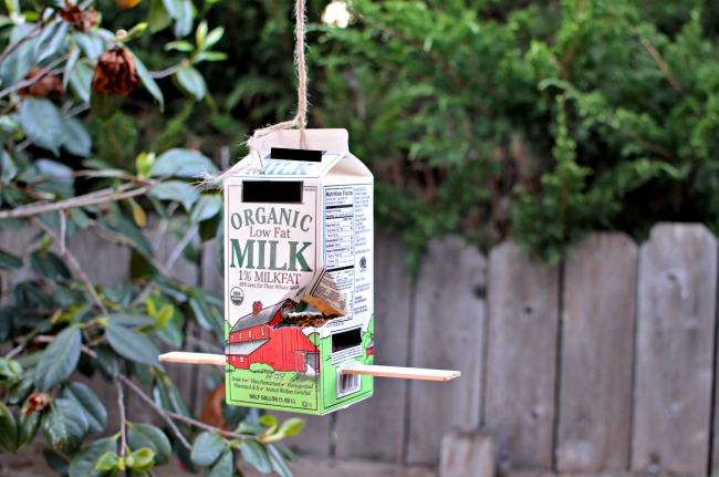 School milk carton bird feeder.jpg