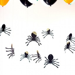 Spiders.jpg