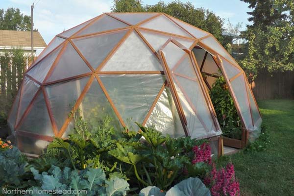 02 geo dome greenhouse.jpg