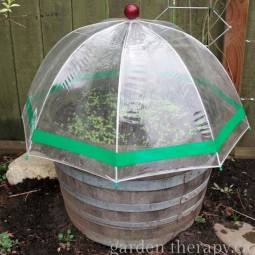 06 seed starting in mini greenhouses.jpg