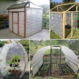 07 make a plastic bottle greenhouse.jpg