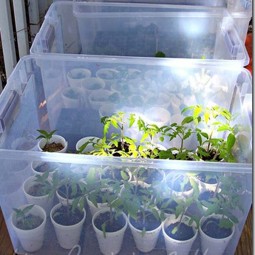 15 mini greenhouses out of plastic storage containers.jpg