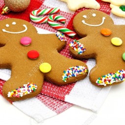 23444743 gingerbread men and candy canes on checked cloth stock photo.jpg