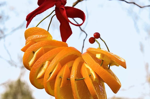Orange wreath diy oriole feeder horizontal.jpg