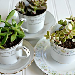 Create a tea cup succulent garden.jpg