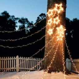 Decorate outdoor tree this christmas 04.jpg
