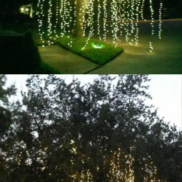 Decorate outdoor tree this christmas 10_1.jpg