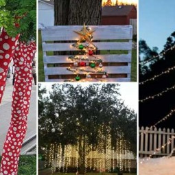 Decorate outdoor tree this christmas.jpg