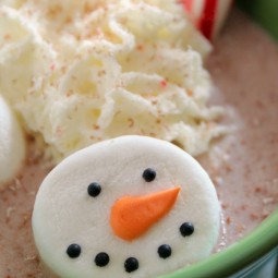 Snowman marshmallow close up.jpg