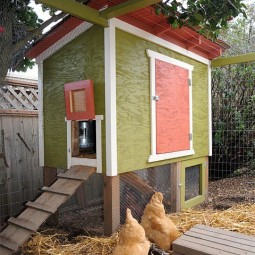 1 urban chicken coop.jpg