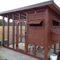 3 the palace chicken coop.jpg