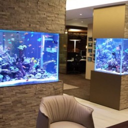 30 fabulous fish tanks i would be proud to have in my home3 750x422.jpg