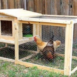 33 small backyard chicken coop.jpg